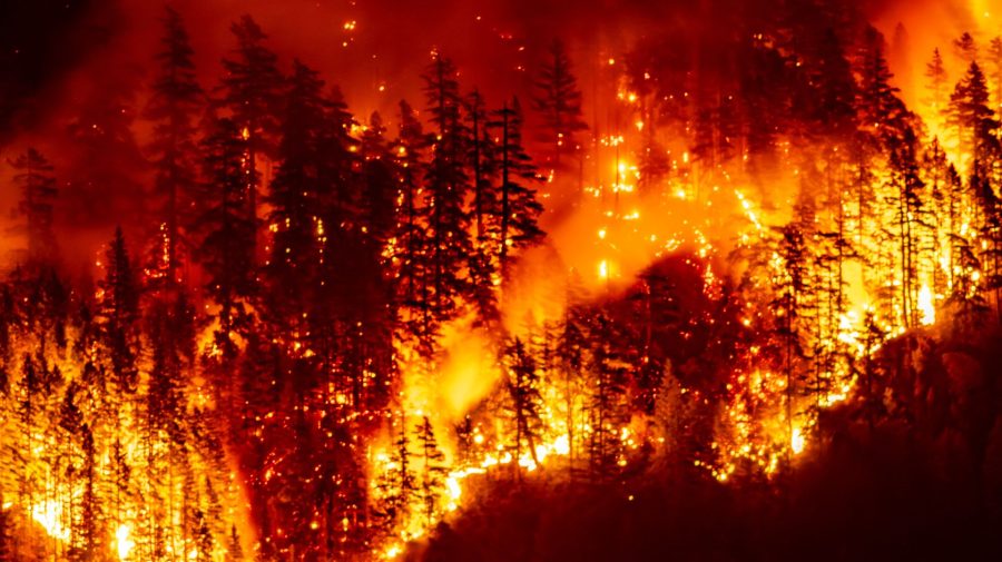 Stare de urgență în Canada. Peste 20.000 de persoane au fost evacuate din calea flăcărilor
