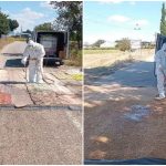 Alertă sanitar-veterinară în Vulcănești: 30 de zile de carantină după apariția pestei porcine africane