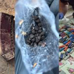 Descinderi la Taraclia. Polițiștii au găsit arme și muniții deținute ilegal
