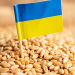 Guvernul pregătește licențierea importurilor de cereale ucrainene: Până când ar putea fi valabilă