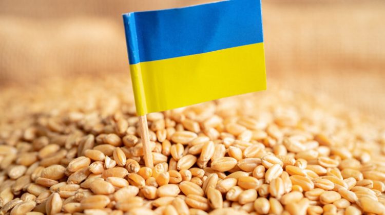 Guvernul pregătește licențierea importurilor de cereale ucrainene: Până când ar putea fi valabilă