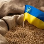 Ucraina ar putea transporta peste patru milioane de tone de cereale prin Moldova, spre Constanța