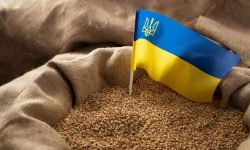 Ucraina ar putea transporta peste patru milioane de tone de cereale prin Moldova, spre Constanța