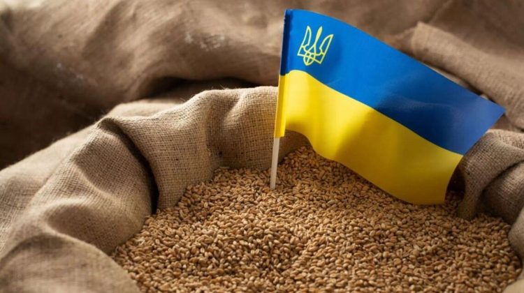 Ucraina ar putea transporta peste patru milioane de tone de cereale prin Moldova, spre Constanța