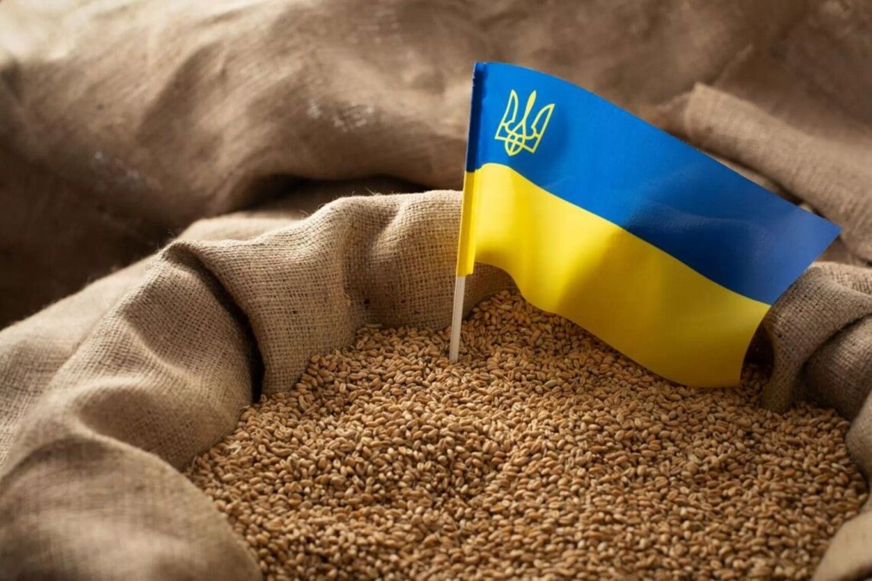 Ucraina ar putea transporta peste patru milioane de tone de cereale prin Moldova, spre Constanța