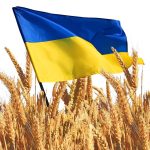 Guvernul pregătește licențierea importurilor de cereale ucrainene: Până când ar putea fi valabilă