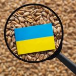 Fermierii români cer verificarea cerealelor ucrainene care vor tranzita Moldova: Există riscul să rămână în România
