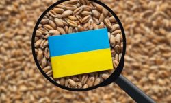 Fermierii români cer verificarea cerealelor ucrainene care vor tranzita Moldova: Există riscul să rămână în România