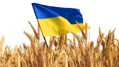 Guvernul pregătește licențierea importurilor de cereale ucrainene: Până când ar putea fi valabilă