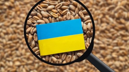 Fermierii români cer verificarea cerealelor ucrainene care vor tranzita Moldova: Există riscul să rămână în România