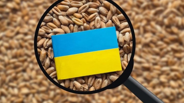 Fermierii români cer verificarea cerealelor ucrainene care vor tranzita Moldova: Există riscul să rămână în România