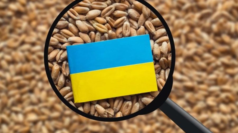 Fermierii români cer verificarea cerealelor ucrainene care vor tranzita Moldova: Există riscul să rămână în România
