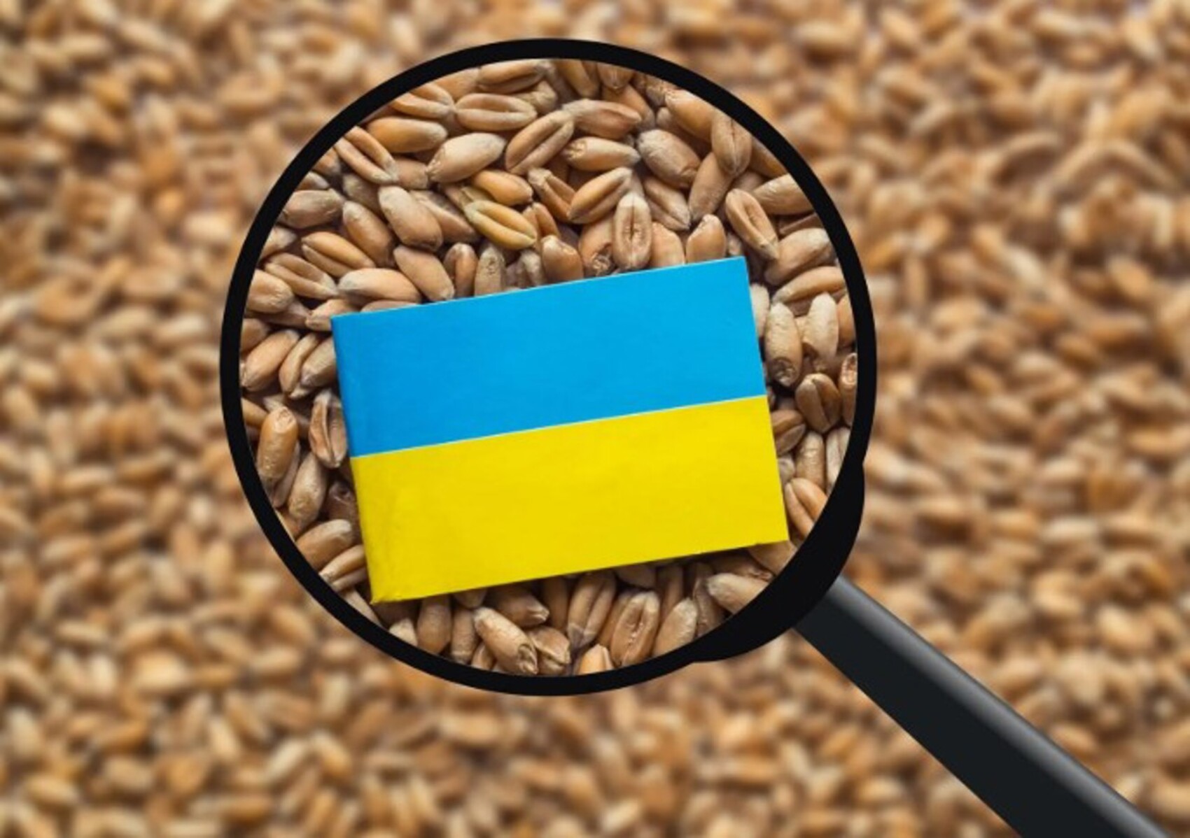 Fermierii români cer verificarea cerealelor ucrainene care vor tranzita Moldova: Există riscul să rămână în România