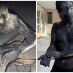 VIDEO Un ucrainean s-a acoperit cu smoală ca să jefuiască un magazin: Polițiștii au avut nevoie de 5 ore ca să-l curețe