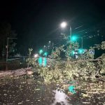Arbori căzuți și mașini avariate. Ploile de marți seara au făcut prăpăd la Ungheni
