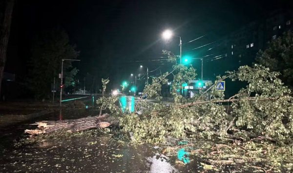 Arbori căzuți și mașini avariate. Ploile de marți seara au făcut prăpăd la Ungheni