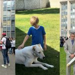 VIDEO De la pancarte la marele ecran: Protestul din fața Guvernului a intrat într-un film pentru copii