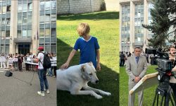 VIDEO De la pancarte la marele ecran: Protestul din fața Guvernului a intrat într-un film pentru copii