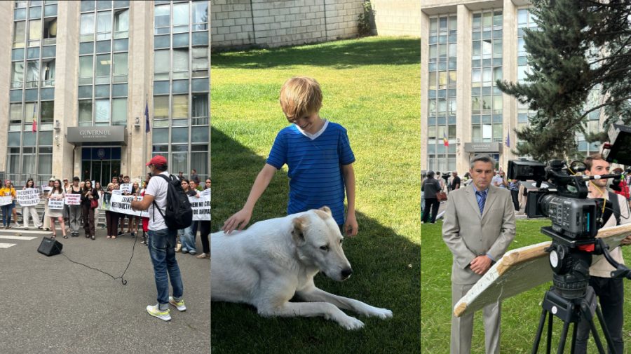 VIDEO De la pancarte la marele ecran: Protestul din fața Guvernului a intrat într-un film pentru copii