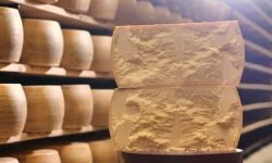 Parmezanul s-ar putea scumpi după canicula extremă din Italia