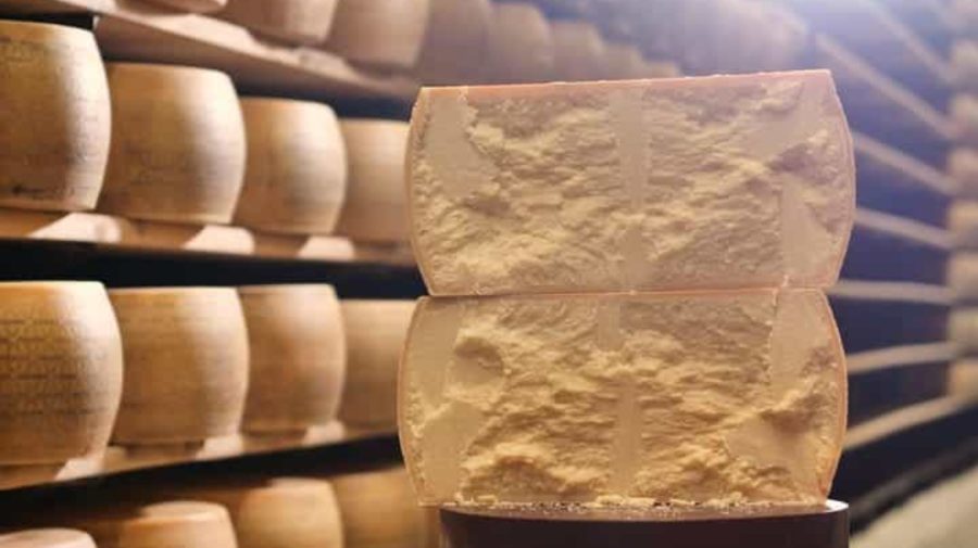 Parmezanul s-ar putea scumpi după canicula extremă din Italia