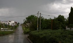 Aproape 200 de consumatori din Rîșcani au rămas fără curent, în urma vijeliilor