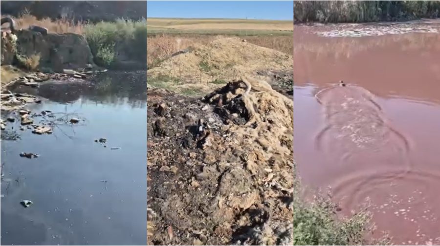 VIDEO Dezastru ecologic la Comrat. Gunoiștea din apropierea orașului, lăsată de izbeliște, iar apele – contaminate