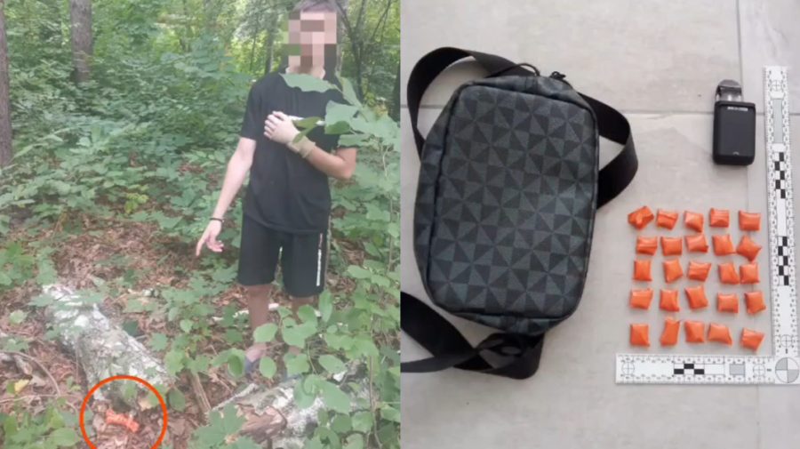 VIDEO Minori din Edineț, prinși cu droguri. Au fost percheziții și în casele lor
