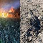 FOTO cu urmările atacului din apropierea vămii Giurgiulești. Noi informații de la autoritățile ucrainene