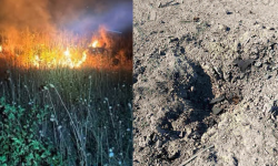 FOTO cu urmările atacului din apropierea vămii Giurgiulești. Noi informații de la autoritățile ucrainene