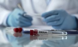 Epidemia de Ebola scapă de sub control? OMS avertizează că ar putea deveni cea mai gravă din istorie