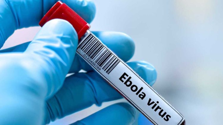 Ebola scapă de sub control în Congo: OMS avertizează asupra riscului de răspândire internațională