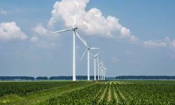 Șapte parcuri eoliene noi vor fi construite în Moldova: Cât va costa energia produsă