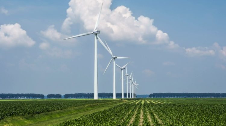 Șapte parcuri eoliene noi vor fi construite în Moldova: Cât va costa energia produsă