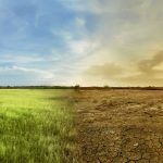 Europa devine „punctul fierbinte” al planetei: Se încălzește de două ori mai repede decât orice alt continent