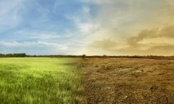 Europa devine „punctul fierbinte” al planetei: Se încălzește de două ori mai repede decât orice alt continent