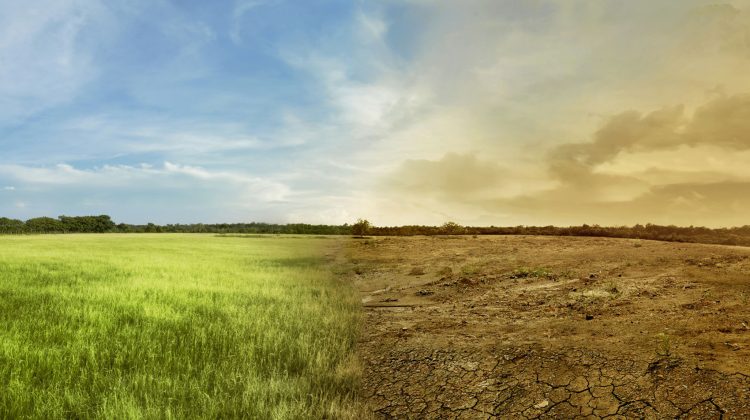 Europa devine „punctul fierbinte” al planetei: Se încălzește de două ori mai repede decât orice alt continent