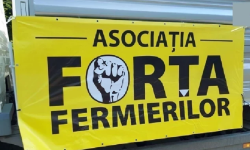 Termenul privind licențierea importurilor de cereale, contestat de fermieri: Data de 31 octombrie nu este suficientă