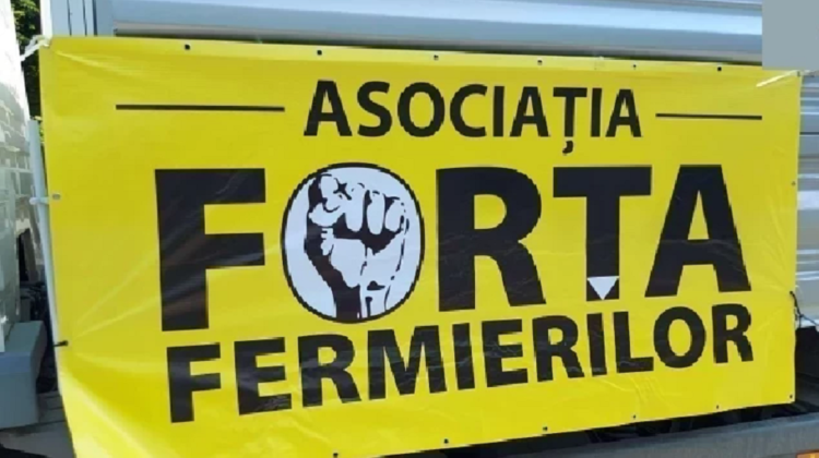 Termenul privind licențierea importurilor de cereale, contestat de fermieri: Data de 31 octombrie nu este suficientă