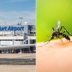 Focar de malarie pe aeroportul din Frankfurt, unul dintre cele mai aglomerate din Germania: Un angajat a murit