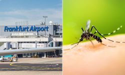 Focar de malarie pe aeroportul din Frankfurt, unul dintre cele mai aglomerate din Germania: Un angajat a murit