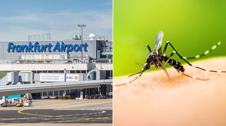 Focar de malarie pe aeroportul din Frankfurt, unul dintre cele mai aglomerate din Germania: Un angajat a murit