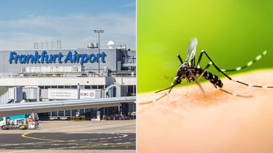 Focar de malarie pe aeroportul din Frankfurt, unul dintre cele mai aglomerate din Germania: Un angajat a murit