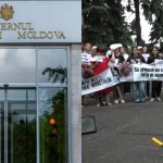 Guvernul, după protestul pentru protecția animalelor: „Condamnăm orice formă de cruzime”