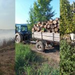 Razii la Călărași. Inspectorii de mediu au aplicat amenzi de aproape 5 mii de lei