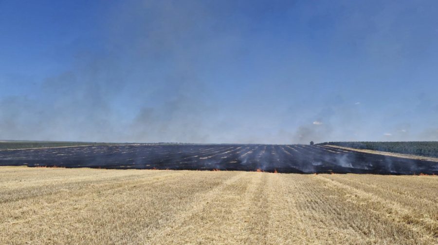A dat foc unei miriști pe timp de caniculă, în ciuda avertizărilor. O persoană riscă amendă de 15.000 de lei