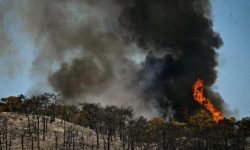 Cod roșu de risc de incendii de vegetație în Spania. Moldovenii sunt îndemnați să evite deplasările
