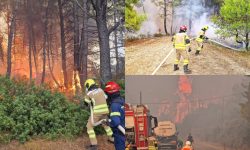 Misiune dificilă pentru pompierii moldoveni în Grecia: Incendiul s-a extins rapid, iar oamenii au fost evacuați