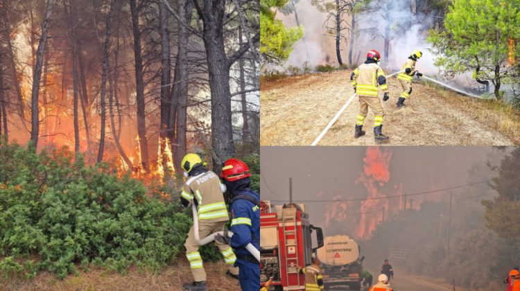 Misiune dificilă pentru pompierii moldoveni în Grecia: Incendiul s-a extins rapid, iar oamenii au fost evacuați