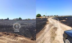 Flăcări puternice în regiunea transnistreană! 83 de hectare de vegetație uscată, mistuite de incendiu